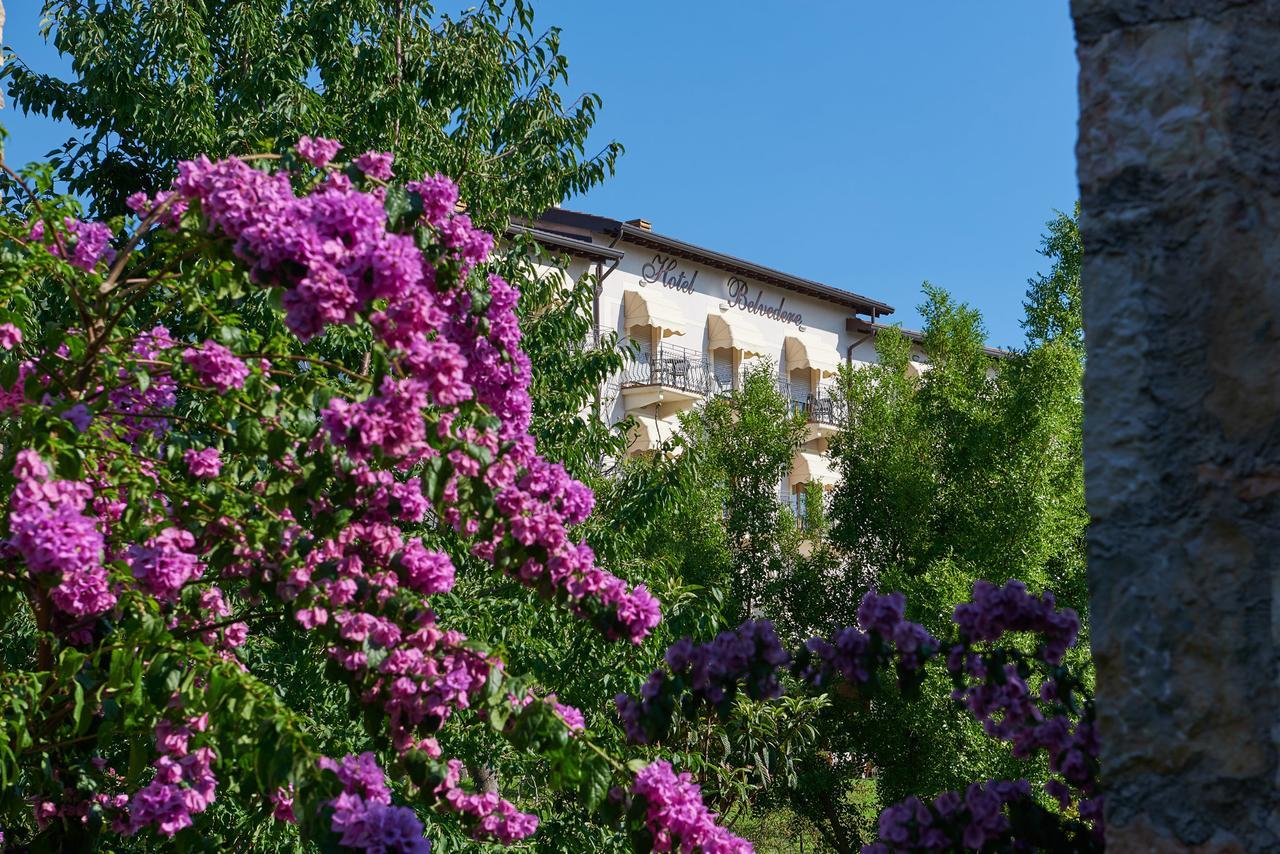 Hotel Belvedere Torri Del Benaco Exterior foto